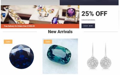 6 Reasons for to Build Your Website with Nveloop
