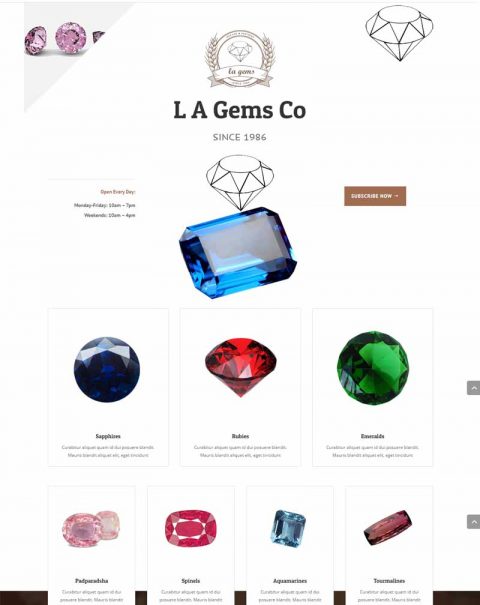 Ecommerce Websites for Gems and Jewelry - Nveloop