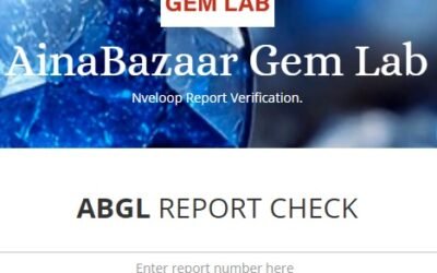 AinaBazaar GEM LAB Implement Nveloop GLMS Software